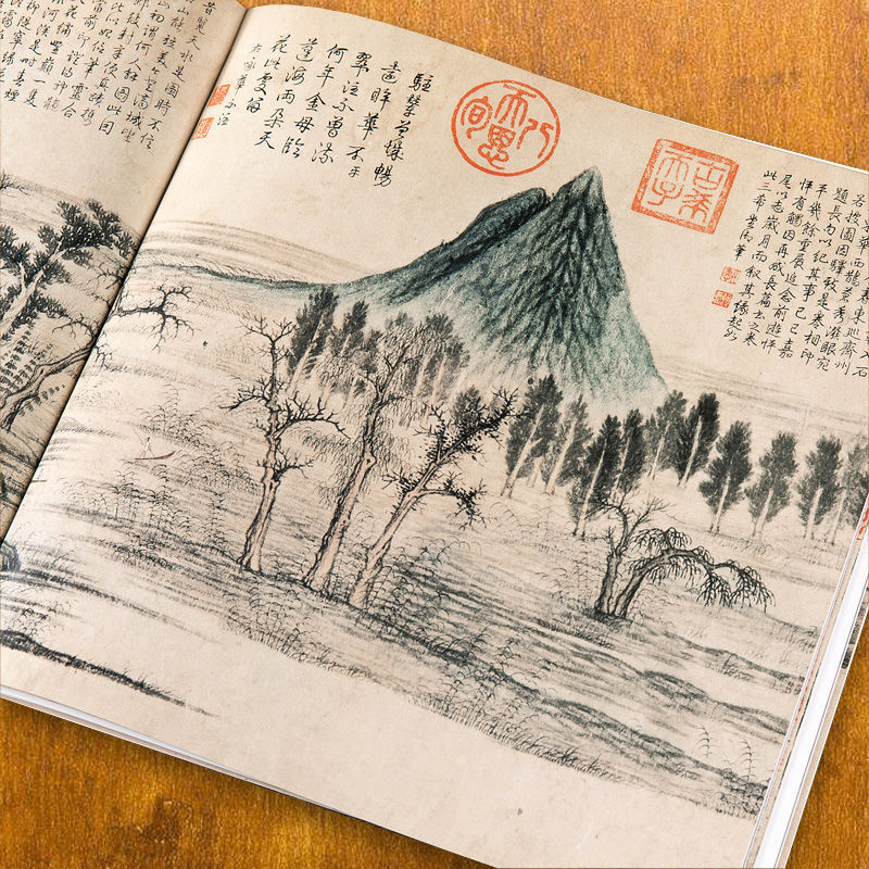 Qi Baishi Freehand Painting Bo - огляд і ціна Chinese Calligraphy Practice Book