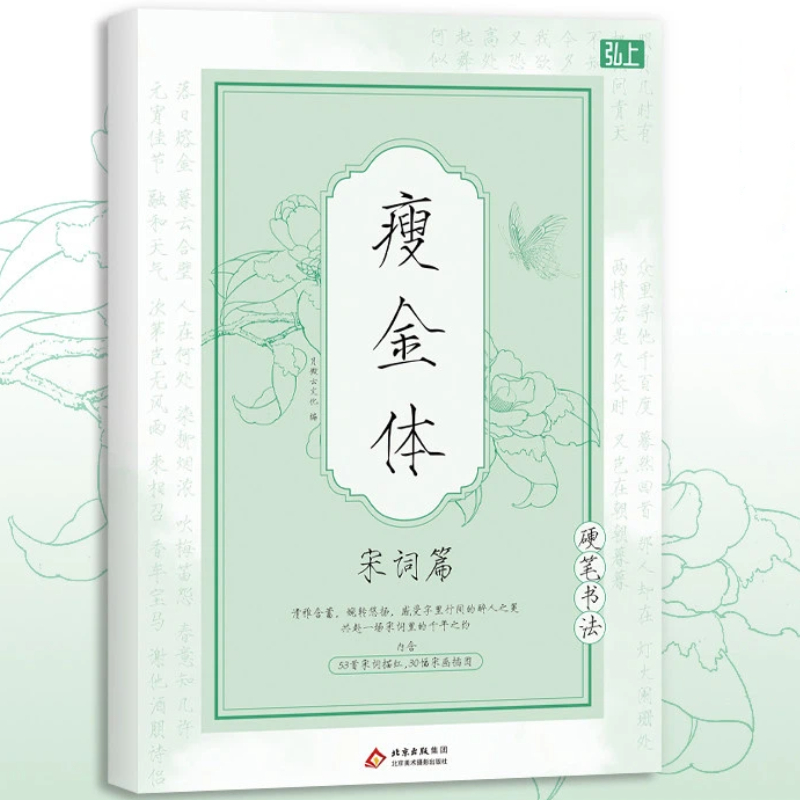 Chinese Writing  book Song Hui - огляд і ціна Chinese Calligraphy Practice Book